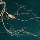 보림한의원 이미지