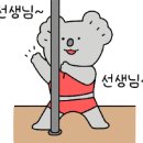 마벨폴댄스 네이버블로그