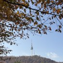 순환로 | 서울 단풍 명소 남산북측순환로 러닝 산책 단풍절정 구경 후기