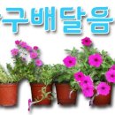 행복한찜닭송파 이미지