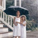 정밀화와 수채화 이미지