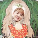 마할로 - 양양군 새나루길 35-1 | 마할로