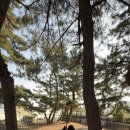 남애초등학교 이미지