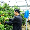 김필환 농장 이미지