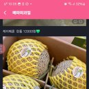 배파파과일 이미지