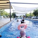 포천제일오토카센타 | 경기도 키즈캠핑장 아이가 즐거운 포천 캠프원 오토캠핑장