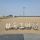 속초_모녀가리비 / 장터순대국 / 강원도막걸리술빵 / 보사노바