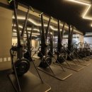 MAN OF ACTION 이미지