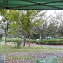 그늘막42 이미지