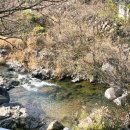 고령스테이포레스트 | 단체 펜션 / 애견동반 가능한 대구 근교 고령 스테이포레스트