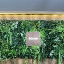 다인로얄팰리스배곧5차(배곧로얄팰리스5차) | 배곧 히피펌 맛집 아이온헤어배곧점 예림 디자이너님 후기