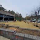 영천민물장어 이미지