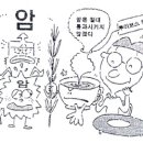한국루이보스 이미지
