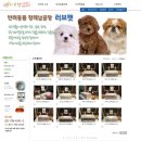 도봉-도봉-서울도봉-2444 | 고양이 반려묘 화장장 화장터는 노원 노원구 도봉 도봉구에서 가장 가까운 "러브펫"에서 믿고 맡기세요.