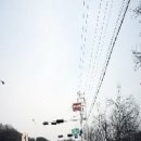 정태진 묘 이미지