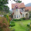 언덕위의 작은집 이미지