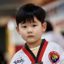 신곡 경기태권도 이미지