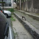 해솔마을11단지 휴먼시아 이미지