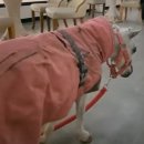 월리농장 이미지