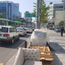 중랑차동물병원 이미지