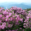 양재역 11번출구 옆 이미지