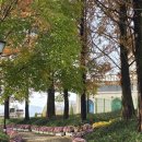 치즈마을 이미지