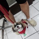 두리동물병원 이미지