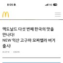 일석이조 티스토리
