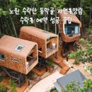 55 | 수락휴 자연휴양림 예약대기 성공, 3번 시도 끝에 드디어 잡았다! (+예약 꿀팁)