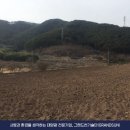 이레 태양광 발전소 이미지