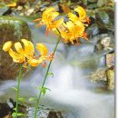 아름다운기억 이미지