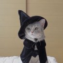 티티 PC방 이미지