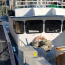 대일선박 이미지