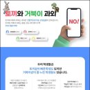 토끼와거북이과외
