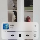 일주일 일기②