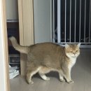 예천군용문보건지소 | [2월 4주 차] 점심 여의도초밥집 | 보건증 | 친구 생일 파티 | 차박 | 용문원조능이버섯국밥