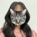 헤어메이트 - 경주시 동대로 10-1 | 웨딩촬영 헤어메이트업샵 치치라보 후기_신부 헤어