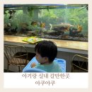 동탄기흥로353번길 | 오산 아기랑 동탄 무료 이색카페 아쿠아쿠 후기