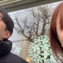 스시솔 이미지