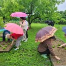 천서농장 이미지