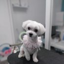 그 남자의 grooming # 공간 이미지