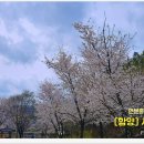 서하 이미지