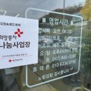 충주맛집 칠금동카페 포장해서 피크닉가기 좋은 노랑김밥&amp;크로플각