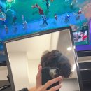 메이에르 이미지