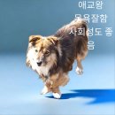 바른길동물병원 이미지