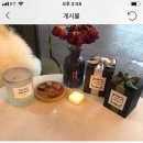 가가래쉬