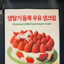 투썸플레이스 양평양수점 | 생딸기 듬뿍 우유 생크림 케이크 솔직후기 투썸플레이스 양평양수점 양수리 두물머리 카페 추천 솔직 후기