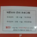 아녜스헤어 Daum카페