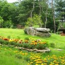 동건공인중개사사무소 이미지