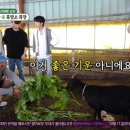 쌍둥이흑염소 이미지